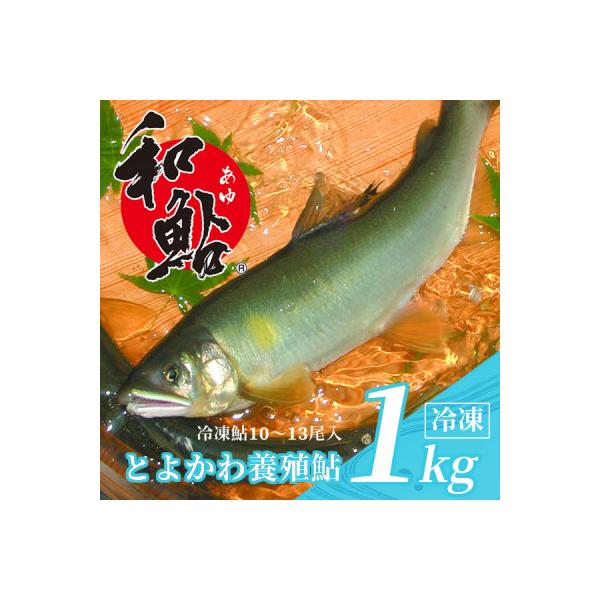 【とよかわ鮎】鮎 (あゆ) 冷凍 1kg 厳選鮎使用!(急速冷凍)