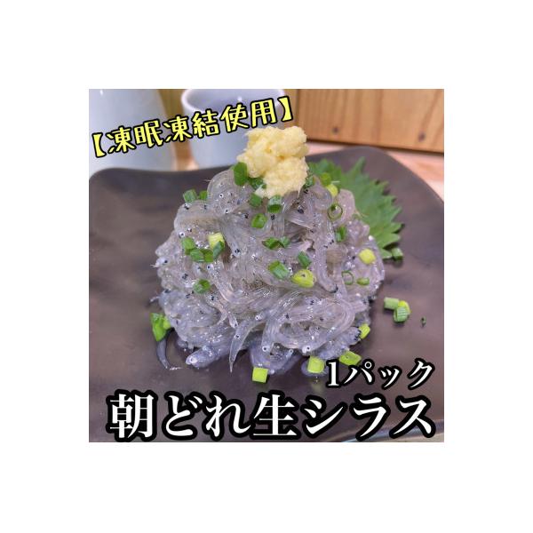 新鮮!朝どれ 生しらす 食べきり1パック【凍眠凍結使用】【神奈川県小田原市早川】