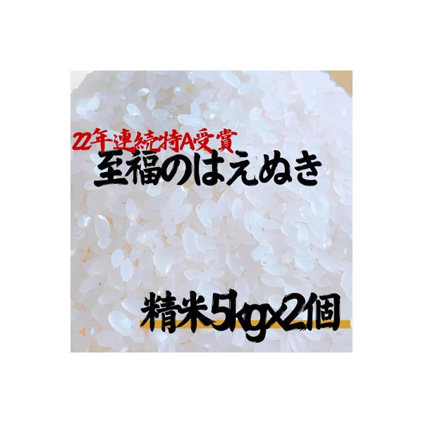 至福のはえぬき(精米)5kg×2袋