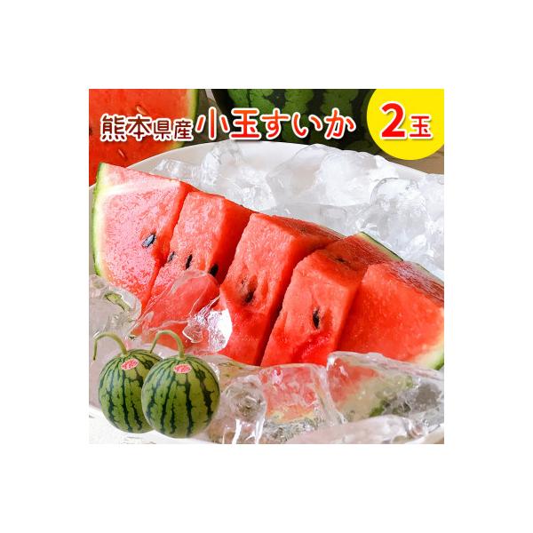 熊本県 和水町産　小玉スイカ 2玉