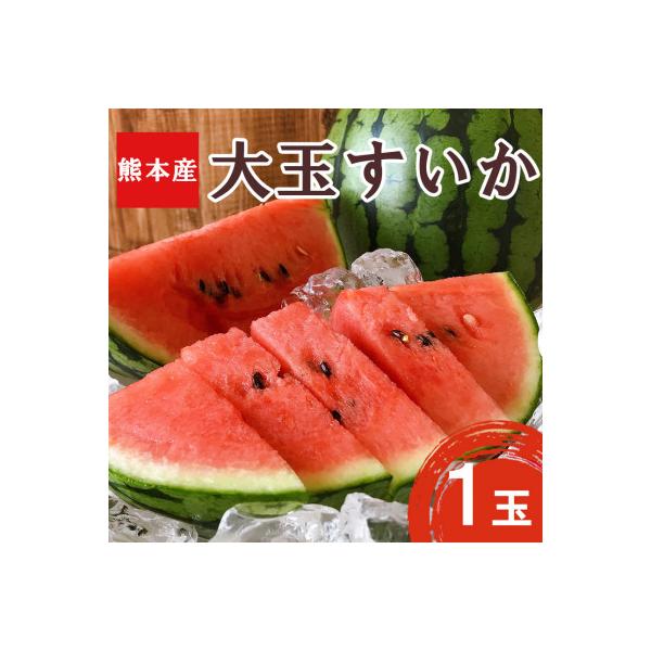 熊本県 和水町産　大玉スイカ1玉