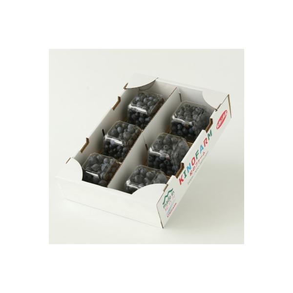 ■お礼品詳細　・配送種別：冷蔵便　・提供元：紀のファーム株式会社■お申し込み・配送・その他　・発送時期：2026-05-10〜2026-07-31(お届け時間帯指定可)　・申込受付期間：〜2026-07-25　・配達外のエリア：離島　・寄付...