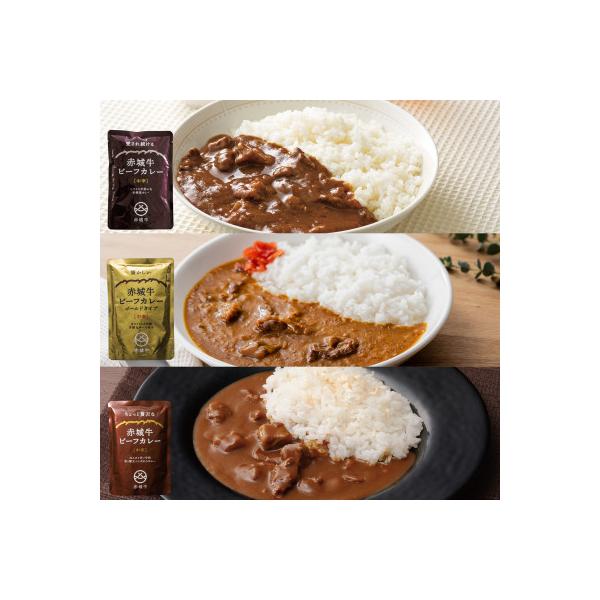 【赤城牛ビーフカレー】昭和・平成・令和のビーフカレー食べ比べ(計9個)