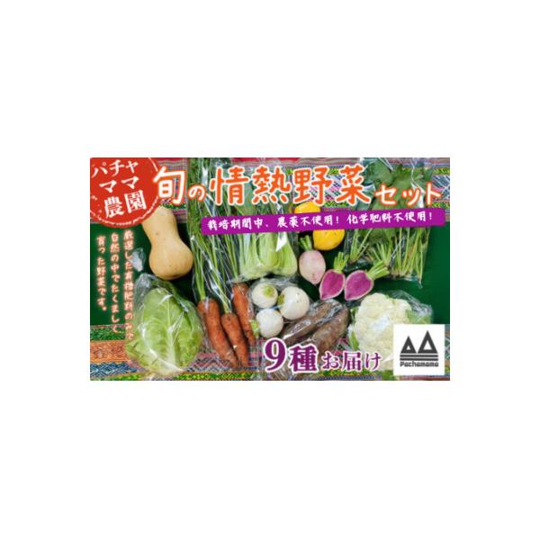 ■お礼品詳細　・配送種別：冷蔵便　・提供元：パチャママ農園■お申し込み・配送・その他　・発送時期：お申し込みより1週間程度で順次発送(お届け時間帯指定可)　・申込受付期間：通年　・配達外のエリア：離島、北海道、沖縄県、信越、北陸、東海、近畿...