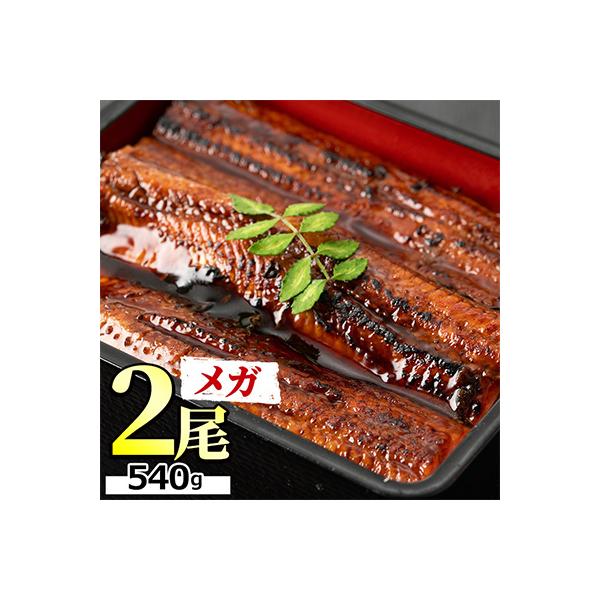 東串良町のうなぎ蒲焼(無頭) 2尾 計約540g・タレ、山椒付【0194305a】