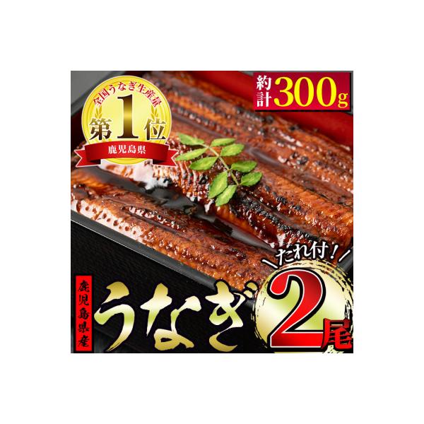 鹿児島県東串良町 うなぎ蒲焼(無頭) 2尾 計約300g、蒲焼のタレ・山椒2個付【11930】