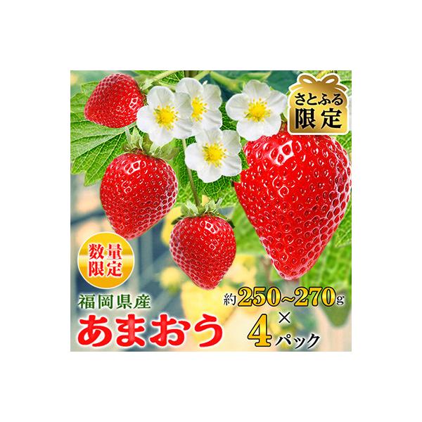【さとふる限定】【数量限定】福岡県産あまおう約250~270g×4P(2027年2月以降順次発送)