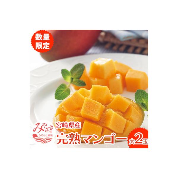 宮崎完熟マンゴー【大】2玉【宮崎市】(R8年4月上旬以降順次発送)