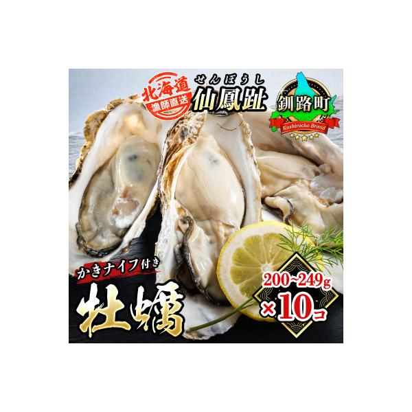 仙鳳趾名産 牡蠣 200～249g×10個+かきナイフ付K4-5