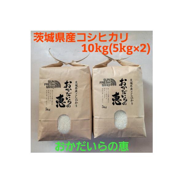 【令和7年産】茨城県産コシヒカリ おかだいらの恵10kg　精米(5kg×2袋)