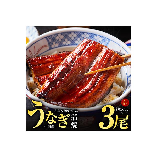 秘伝のたれ仕込み うなぎ蒲焼 (約160g×3尾)鰻 ウナギ 中国産 炭火焼き