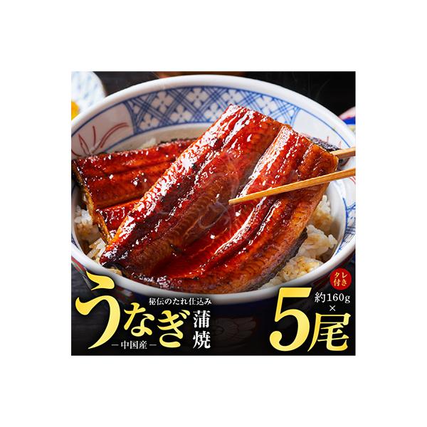 秘伝のたれ仕込み うなぎ蒲焼 (約160g×5尾)鰻 ウナギ 中国産 炭火焼き