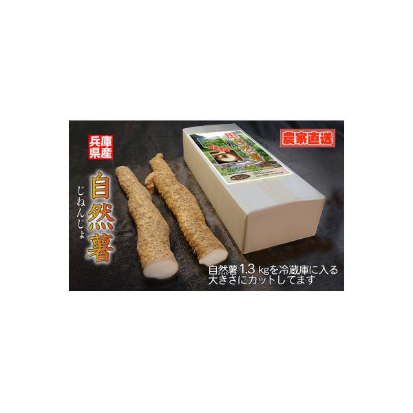 ■お礼品詳細　・配送種別：通常　・提供元：メルカート株式会社（あさごもん）■お申し込み・配送・その他　・発送時期：2025-11-27〜2026-04-16(お届け時間帯指定可)　・申込受付期間：〜2026-03-26　・配達外のエリア：　...