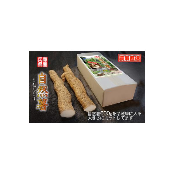 ■お礼品詳細　・配送種別：通常　・提供元：メルカート株式会社（あさごもん）■お申し込み・配送・その他　・発送時期：2025-11-27〜2026-04-16(お届け時間帯指定可)　・申込受付期間：〜2026-03-26　・配達外のエリア：　...