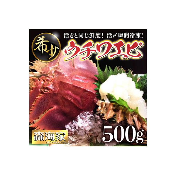 活き〆ウチワエビ500gセット(3～6尾)天然高知県産