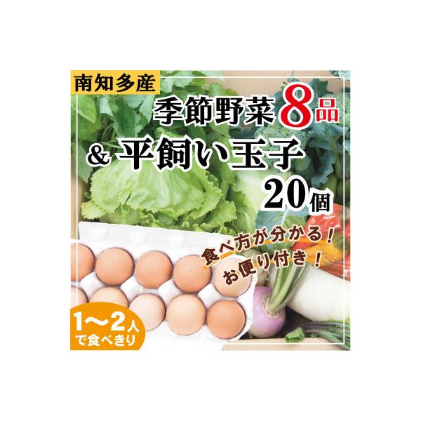 さとの平飼い玉子20個&季節の野菜セット