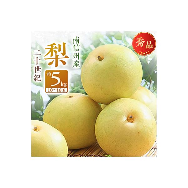 ■お礼品詳細　・配送種別：通常　・提供元：ＪＡみなみ信州ＤＭセンター飯田市■お申し込み・配送・その他　・発送時期：2026-09-01〜2026-09-18(お届け時間帯指定可)　・申込受付期間：2025-12-23〜2026-09-04　...