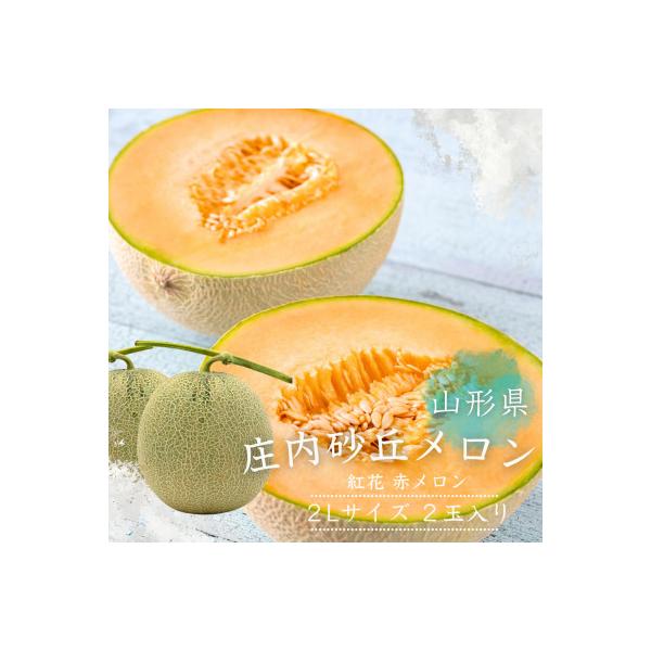令和8年度発送　希少【庄内砂丘メロン】みちのく夏ギフト　紅花メロン(赤肉)秀2L　2玉