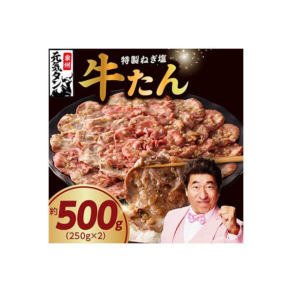 ねぎ塩 牛たん 500g 小分け 250g×2 焼肉用 訳あり サイズ不揃い 010B1527