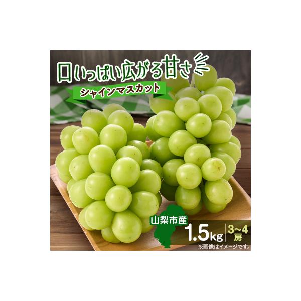 【2026年発送】やみつきシャインマスカット 1.5kg(3～4房)
