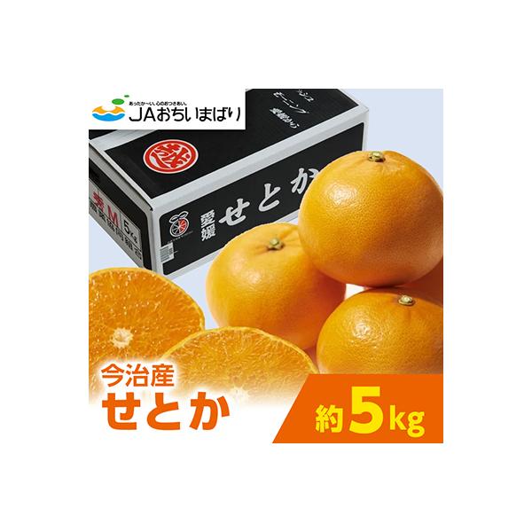 【先行予約】せとか 5kg 家庭用 柑橘 柑橘の大トロ KC00770