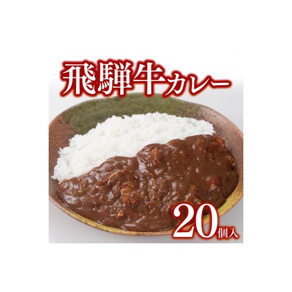 飛騨牛カレー20個セット(200g×20食)冷凍食品　レトルトカレー