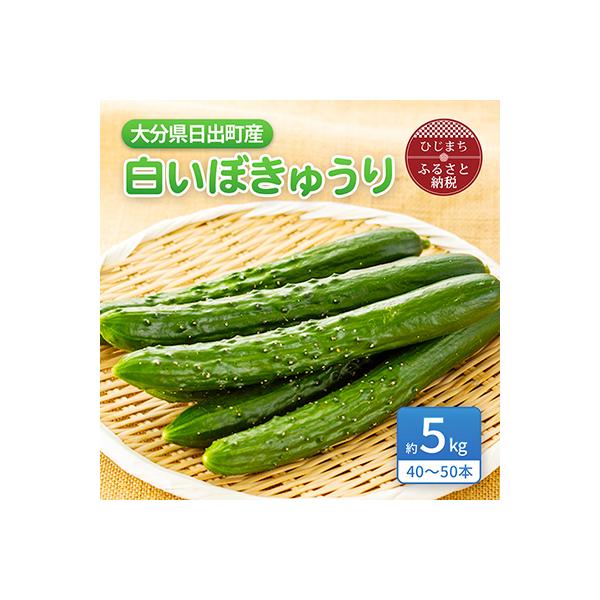 大分県日出町産「白いぼきゅうり」5kg(40～50本入り)