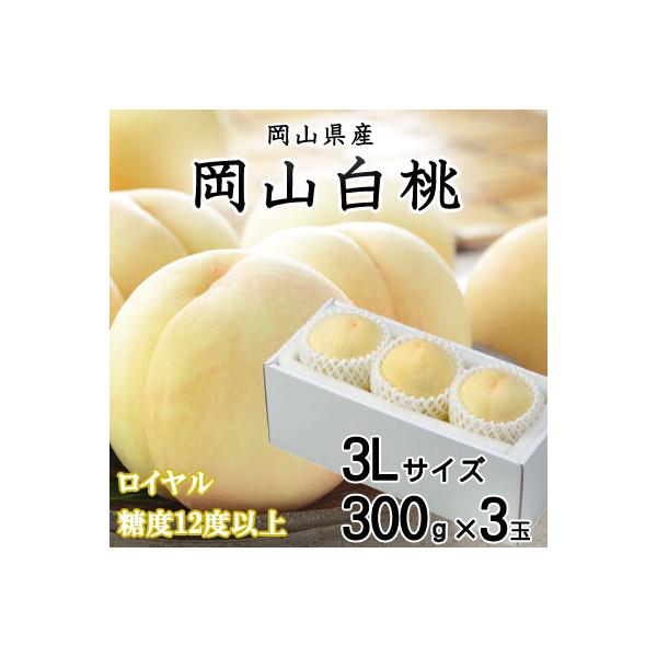 【先行受付】岡山白桃 ロイヤル 3玉×300g(3Lサイズ) 岡山県産