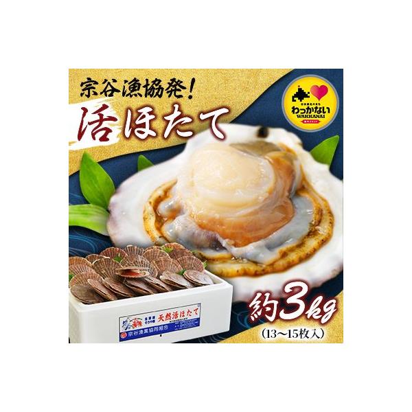 宗谷漁協発!産地直送!活ほたて約3㎏(13～15枚入)刺身 海鮮