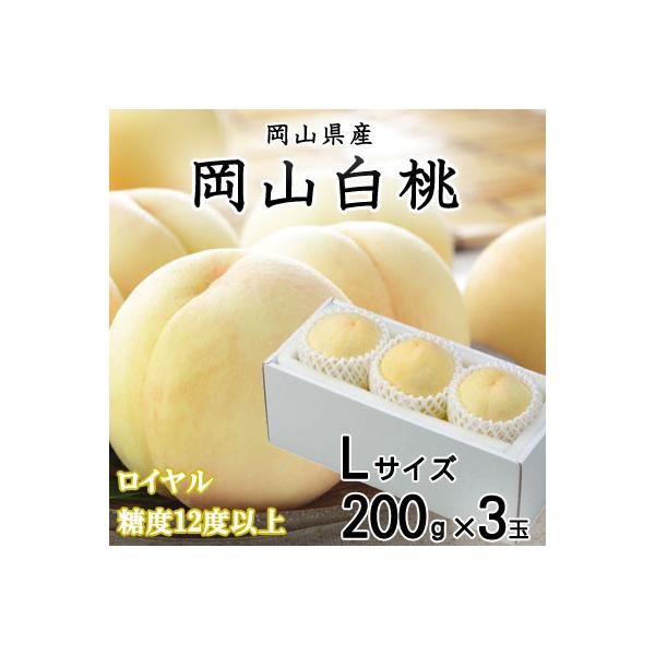 岡山白桃 ロイヤル 3玉×200g (Lサイズ) 岡山県産