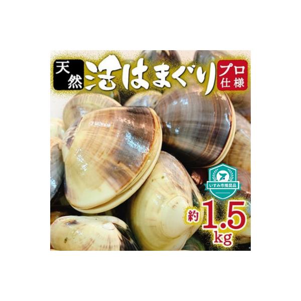 ふるさと納税 いすみ市 【ふるさと納税】天然はまぐり約1.5kg (千葉県産) :1306034:さとふる - 通販 - Yahoo!ショッピング ふるさと納税 いすみ市 【ふるさと納税】天然はまぐり約1.5kg (千葉県産) :1306034:さとふる - 通販 - Yahoo!ショッピング