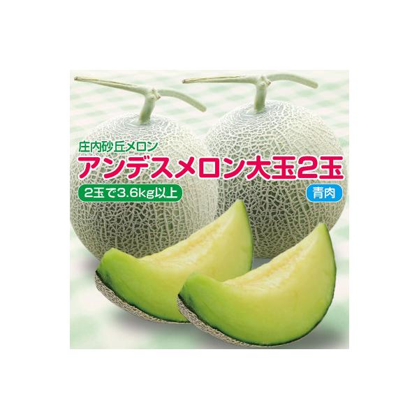 庄内砂丘メロン　アンデスメロン(青肉)大玉2玉で3.6kg以上　つる付　化粧箱入