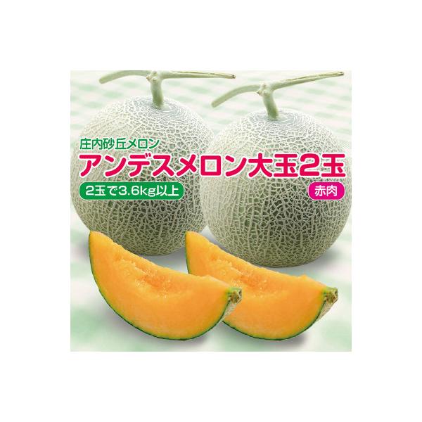 庄内砂丘メロン　アンデスメロン(赤肉)大玉2玉で3.6kg以上　つる付　化粧箱入