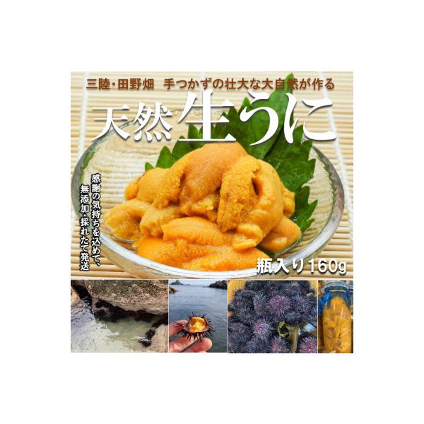 【予約・6月～発送】岩手・三陸　小さな村のきれいな海で育った　新鮮　瓶入り　天然生うに(160g)