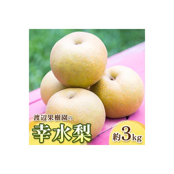 渡辺果樹園の幸水梨　約3kg【8月中旬～9月上旬にお届け】