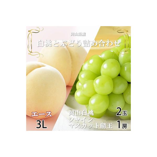 【先行受付】岡山県産　岡山白桃エース3L300g×2玉・シャインマスカット晴王600g×1房　詰合