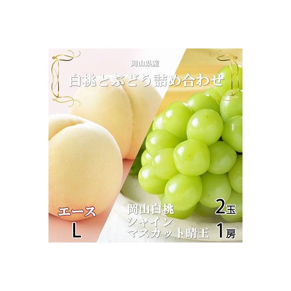 【先行受付】岡山県産　岡山白桃エースL　200g×2玉・シャインマスカット晴王400g×1房　詰合