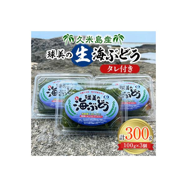球美の”生”海ぶどう(100g×3個)