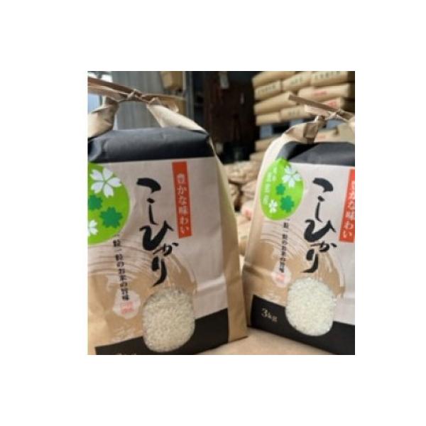 恵那こしひかり