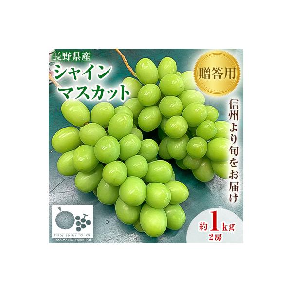 2026年発送「産地より信州中野の旬をお届け」 シャインマスカット　贈答用　約1kg