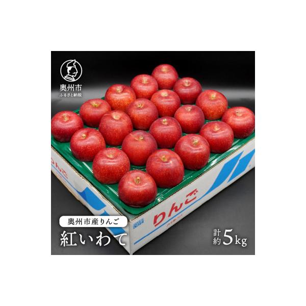 奥州市産りんご 紅いわて 約5kg(14～20玉) [AQ024]