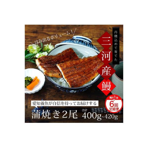 【定期便】三河産うなぎ「超特大蒲焼き2尾」×6回(隔月1回　1年間)・A133-108