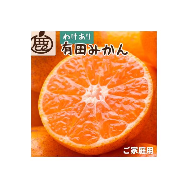 家庭用 有田みかん5kg+250g(傷み補償分)【光センサー選果】【訳あり】