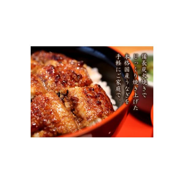 九州産　備長炭手焼　うなぎ蒲焼　3尾(660g)1745