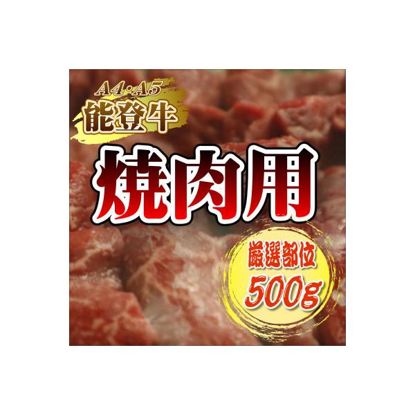 【A4・A5能登牛】焼肉用厳選部位500g