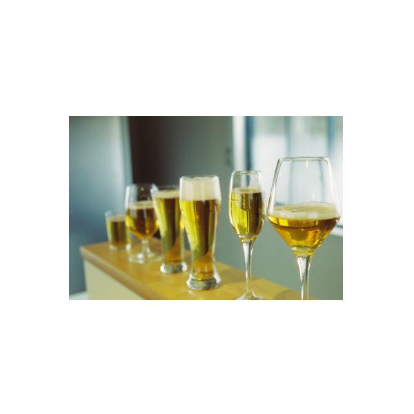 ■お礼品詳細　・配送種別：通常　・提供元：ゴールデンラビットビール■お申し込み・配送・その他　・発送時期：2026-01-09より順次発送 ※生産・天候・交通等の事情により遅れる場合があります。(お届け時間帯指定可)　・申込受付期間：202...