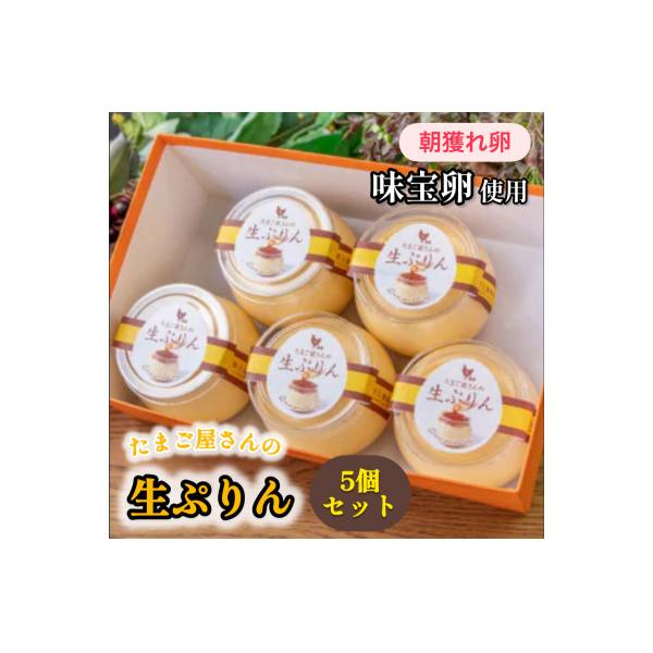 (贅沢しよう)たまご屋さんの生ぷりん5個セット