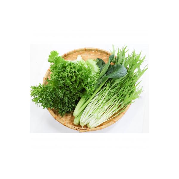 ■お礼品詳細　・配送種別：冷蔵便　・提供元：株式会社アクア菰野辻農場■お申し込み・配送・その他　・発送時期：2026-01-09より順次発送 ※生産・天候・交通等の事情により遅れる場合があります。(お届け時間帯指定可)　・申込受付期間：通年...