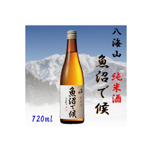 【魚沼地域限定】純米酒 八海山「魚沼で候」720ml×1本