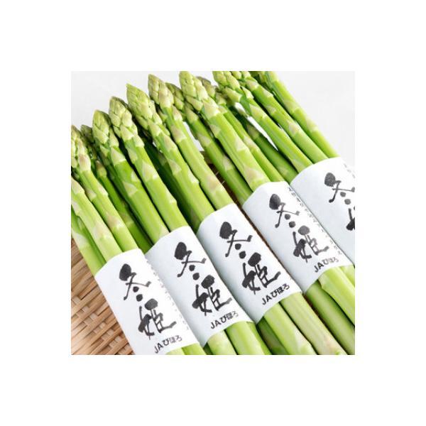 希少!冬期生産伏せ込み促成栽培アスパラ「冬姫」M～L　約1kg